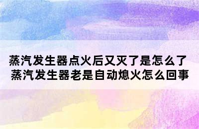 蒸汽发生器点火后又灭了是怎么了 蒸汽发生器老是自动熄火怎么回事